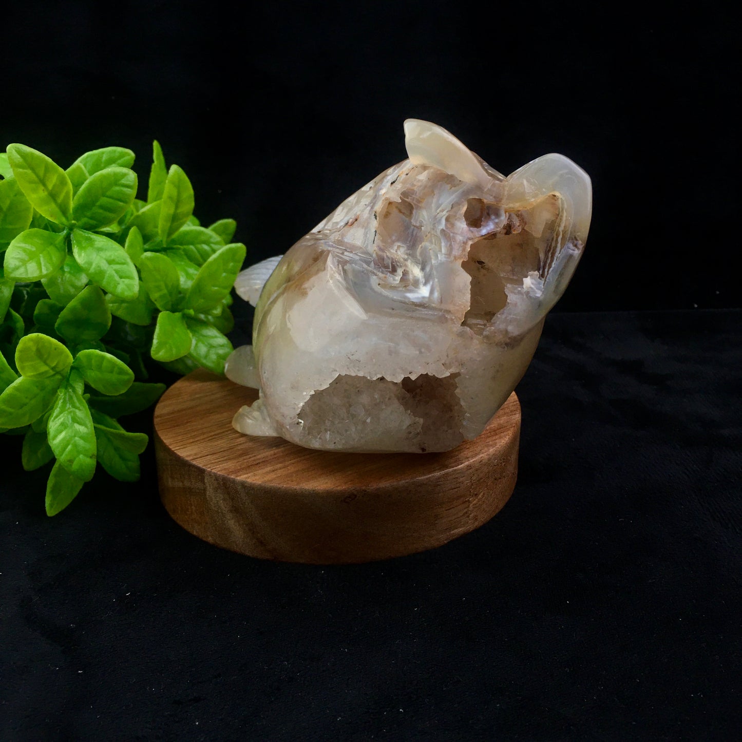 Crystals wholesale bulk natural hand carved agate geode crystal crystals healing stones geode dolphin /gold toad/lizard/heart/nine fox/fish