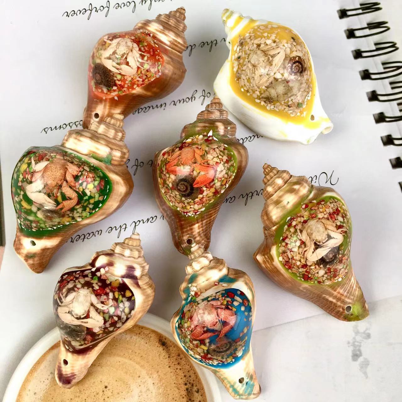 High quality wholesale Natural Crystal Conch For Decoration