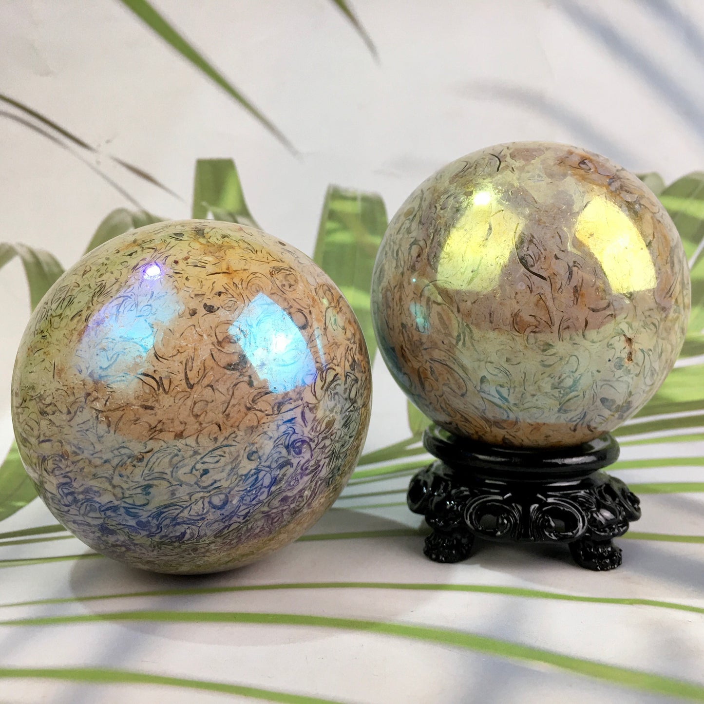 Wholesale high quality reiki natural Aura fossil Healing stone sphere ($29/kg) for decoraiotion1kg