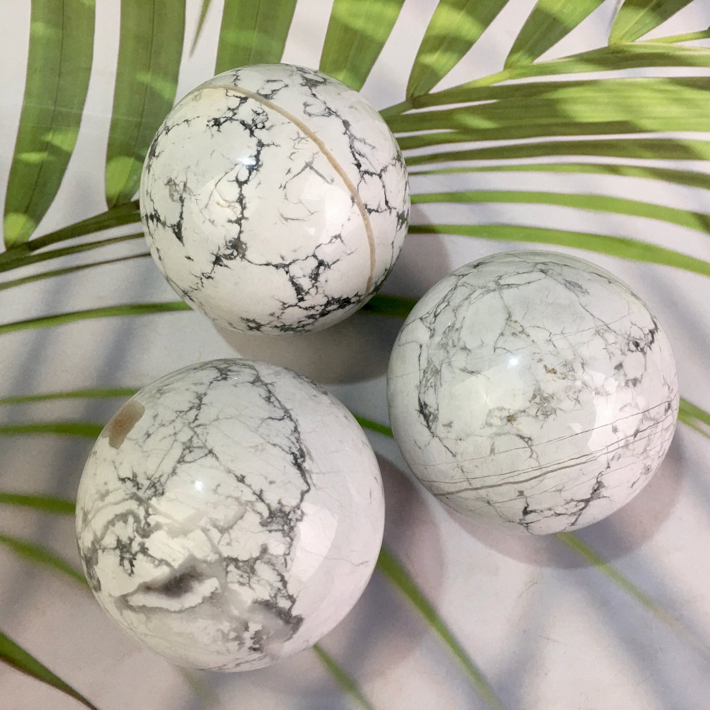 Wholesale Natural White Sphere Howlite Crystal Ball/Sphere for decoraiotion 1kg