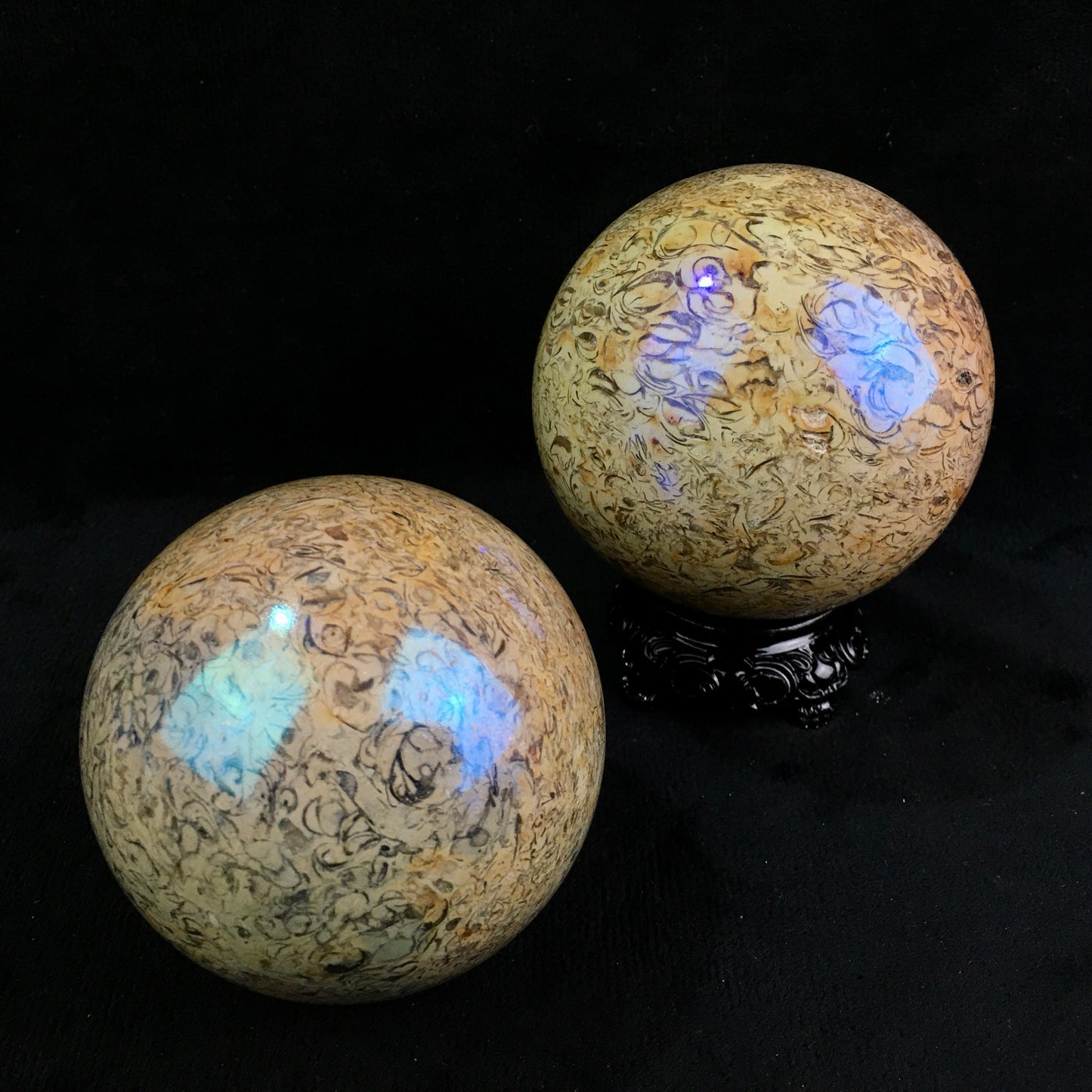 Wholesale high quality reiki natural Aura fossil Healing stone sphere ($29/kg) for decoraiotion1kg