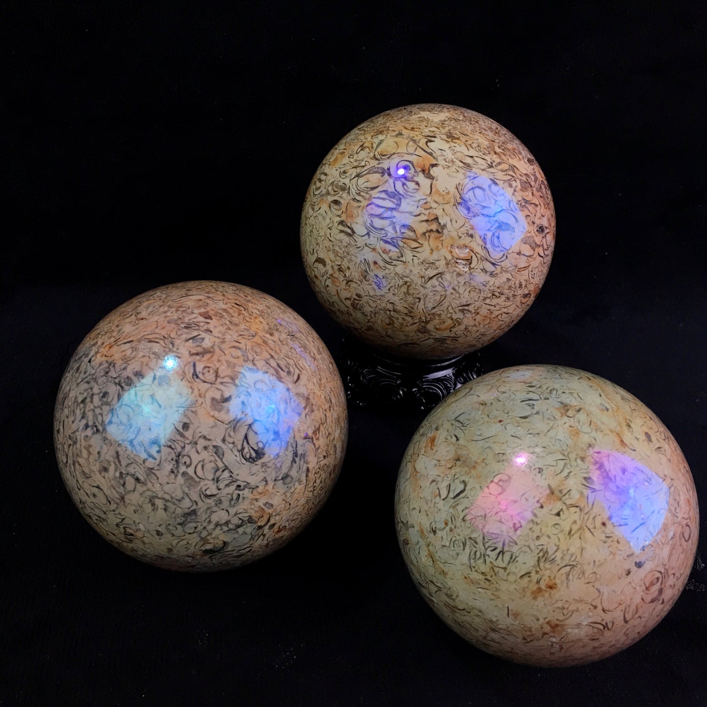 Wholesale high quality reiki natural Aura fossil Healing stone sphere ($29/kg) for decoraiotion1kg