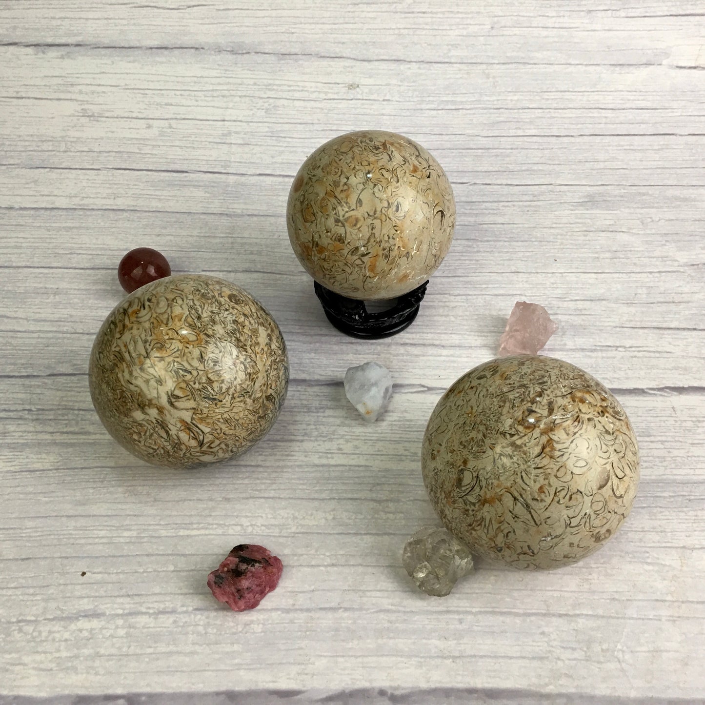 Wholesale Natural Healing fossil sphere for decoration 1kg