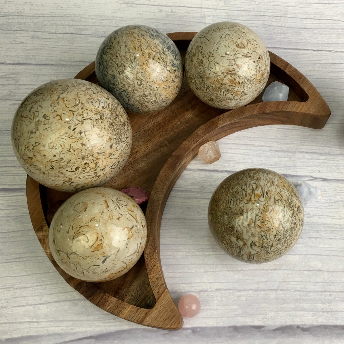 Wholesale Natural Healing fossil sphere for decoration 1kg