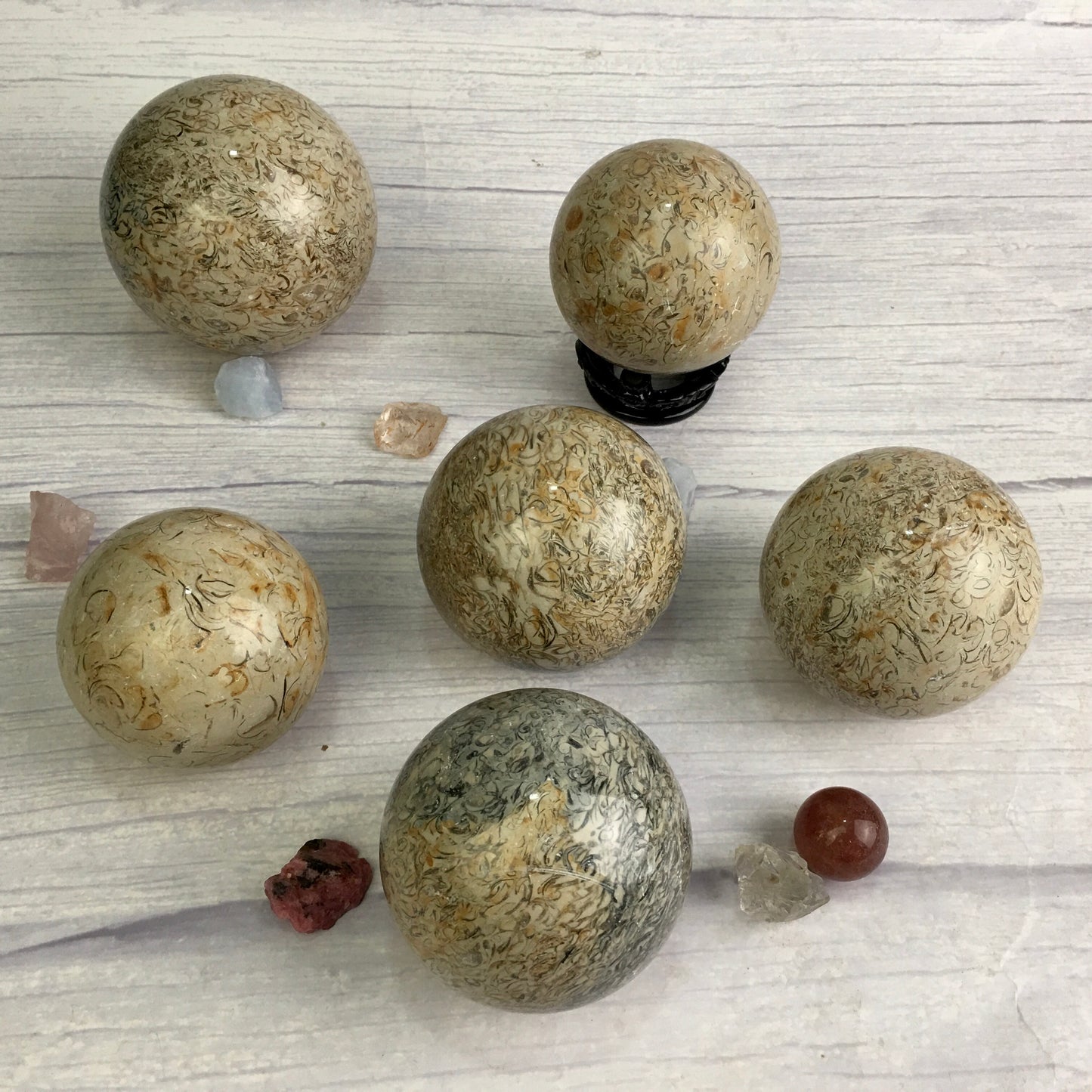 Wholesale Natural Healing fossil sphere for decoration 1kg