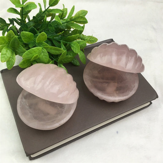 Wholesale Natural Healing Crystals Shell For Crystal Jewelry Box