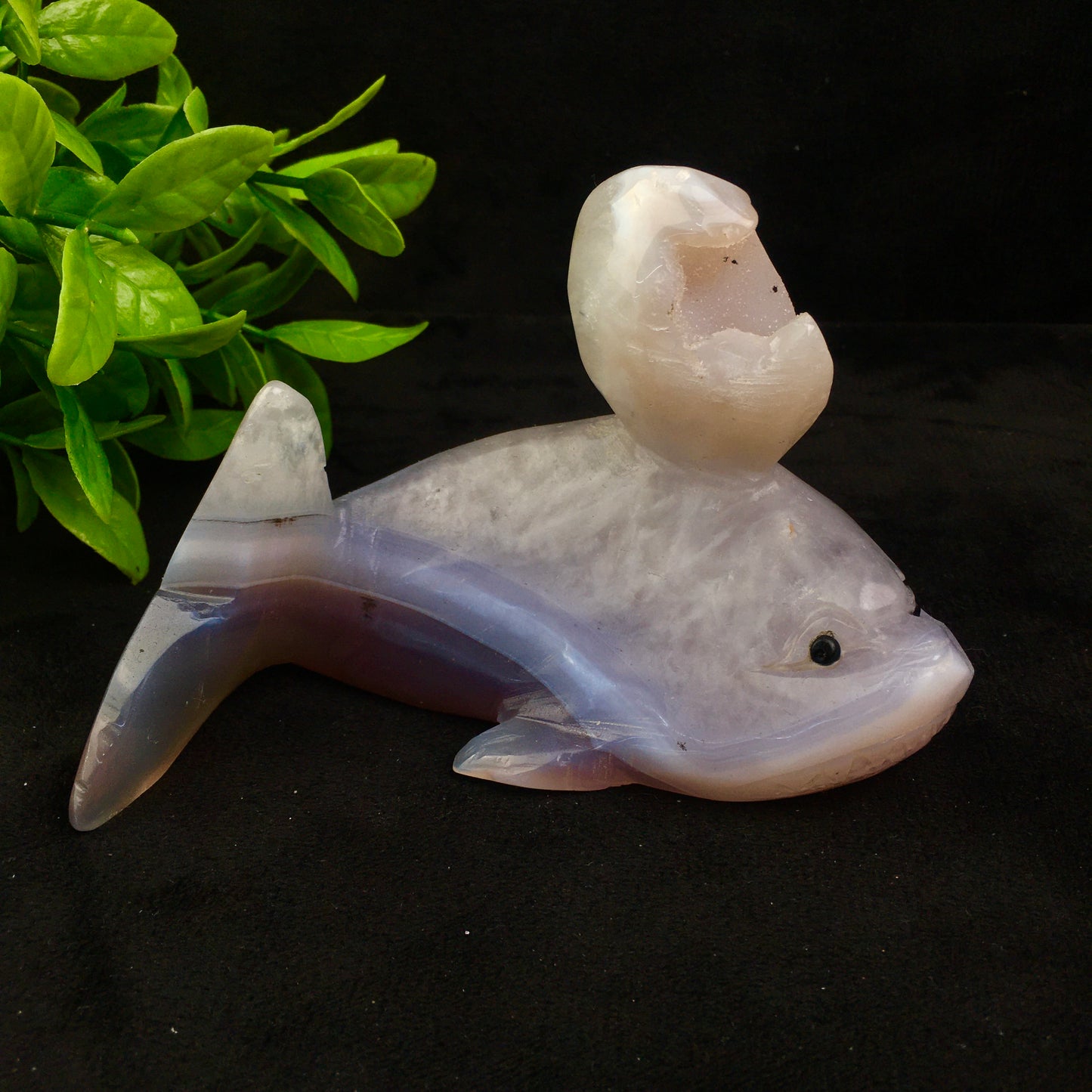 Crystals wholesale bulk natural hand carved agate geode crystal crystals healing stones geode dolphin /gold toad/lizard/heart/nine fox/fish