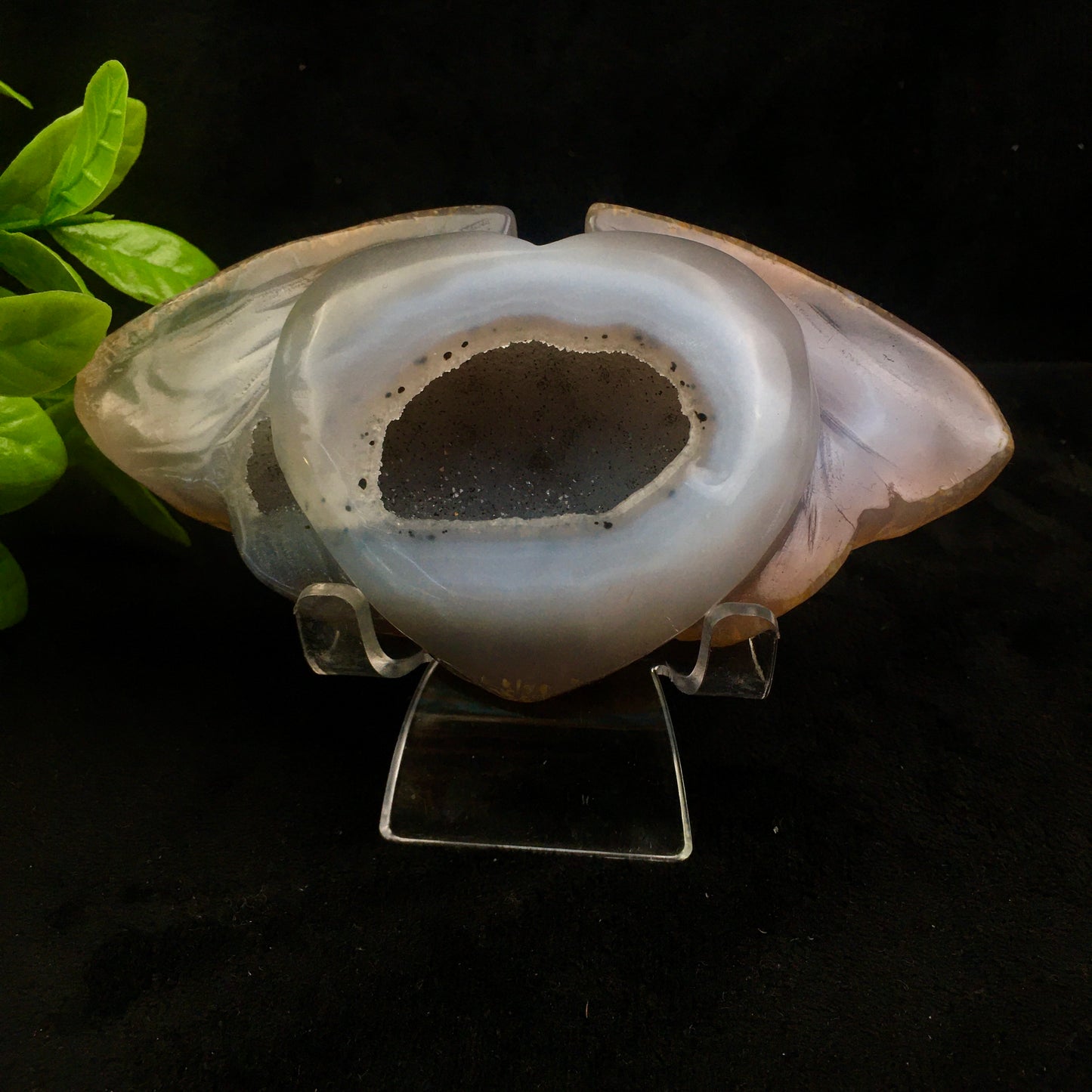 Crystals wholesale bulk natural hand carved agate geode crystal crystals healing stones geode dolphin /gold toad/lizard/heart/nine fox/fish