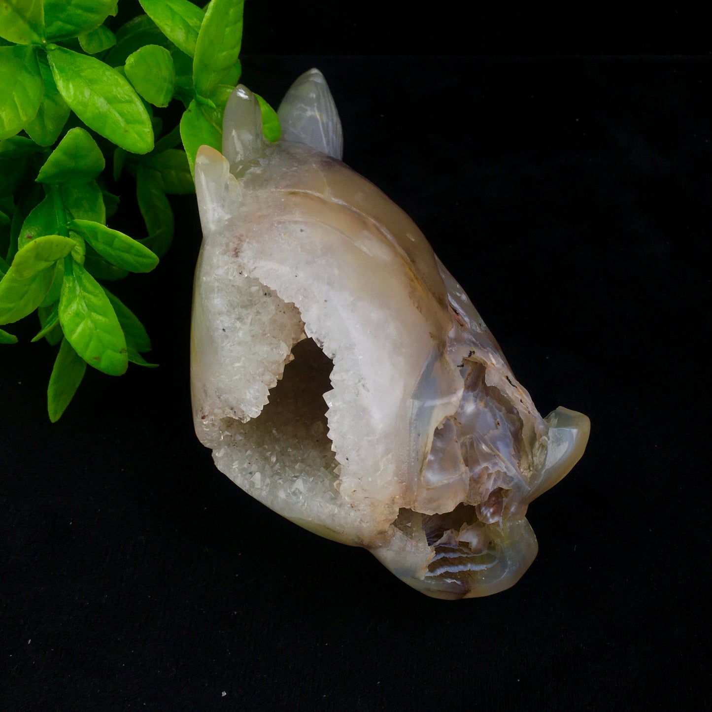 Crystals wholesale bulk natural hand carved agate geode crystal crystals healing stones geode dolphin /gold toad/lizard/heart/nine fox/fish