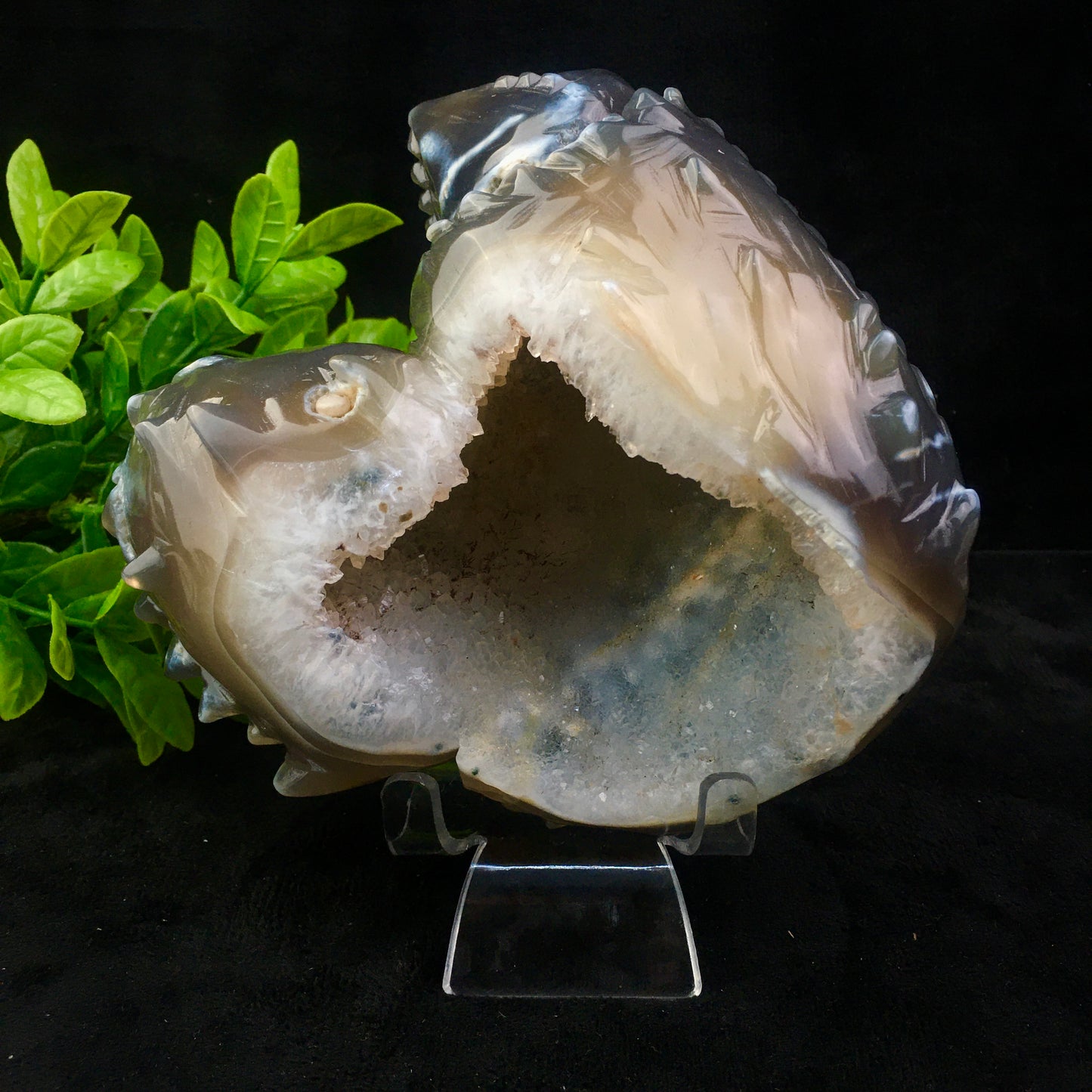 Crystals wholesale bulk natural hand carved agate geode crystal crystals healing stones geode dolphin /gold toad/lizard/heart/nine fox/fish