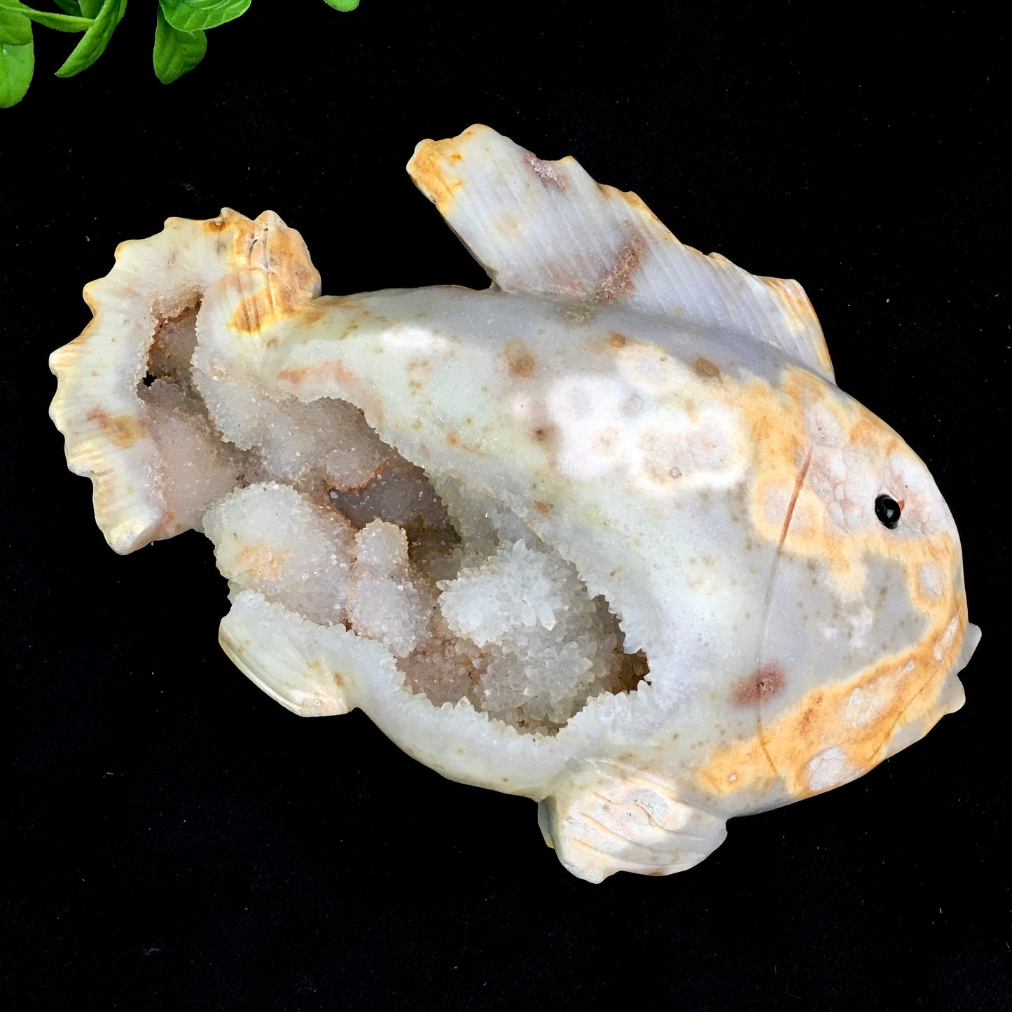 Crystals wholesale bulk natural hand carved agate geode crystal crystals healing stones geode dolphin /gold toad/lizard/heart/nine fox/fish