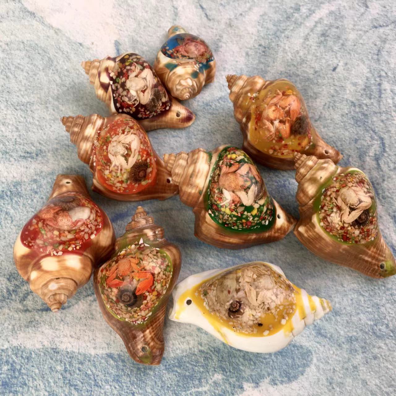 High quality wholesale  Natural Crystal Conch For Decoration